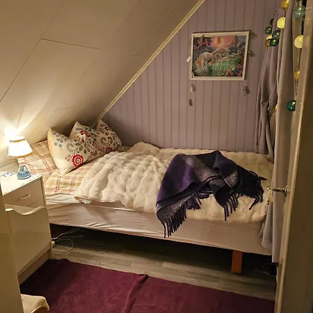 Charming With Sea And Mountain View 特罗姆瑟