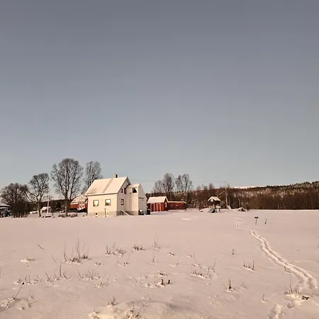 Charming With Sea And Mountain View 度假居 特罗姆瑟