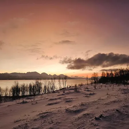 Charming With Sea And Mountain View * Tromsø